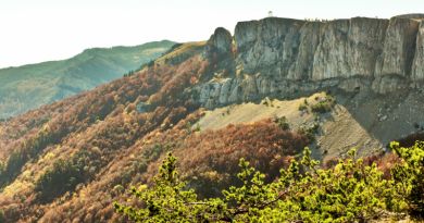 Экскурсии в Крымский природный заповедник из Гаспры 2023