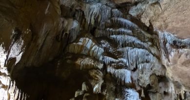 Авто-пешеходная экскурсия из Симеиза (фото 20)