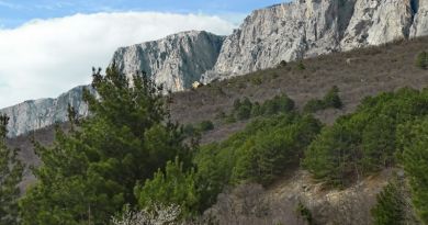 Авто-пешеходная экскурсия из Симеиза (фото 7)