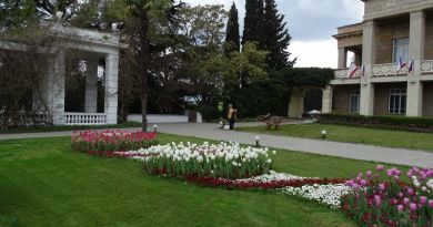 Вид на объект: Верхний парк Никитский ботанический сад.