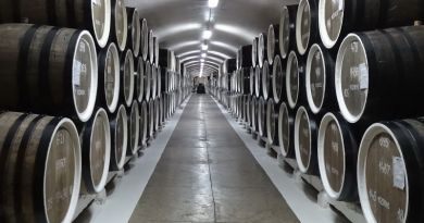 Авто-пешеходная экскурсия из Симеиза (фото 2)