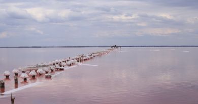Экскурсии в Озеро Сасык-Сиваш (розовое озеро) из Гаспры 2024