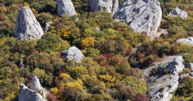Экскурсии в `Храм Солнца, «Крымский Стоунхендж»` из Гаспры